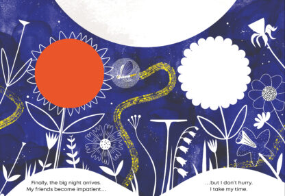 Little Seed - Image 4