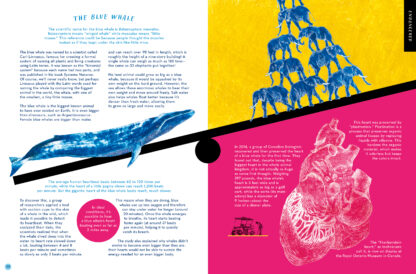 The Whale's Song - Image 2