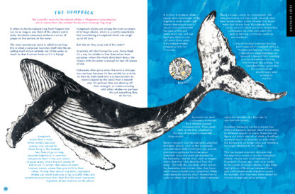 The Whale's Song - Image 5