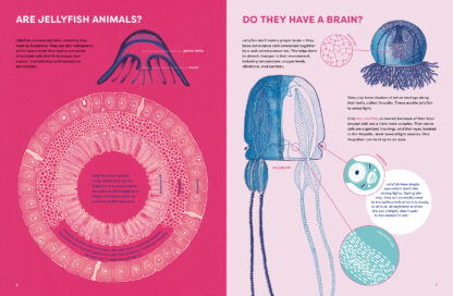 The Jellyfish Garden - Image 3
