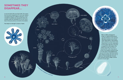 The Jellyfish Garden - Image 4