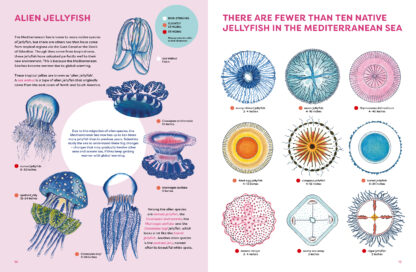 The Jellyfish Garden - Image 5