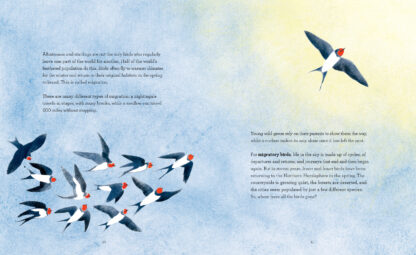 The Call of the Birds - Image 2