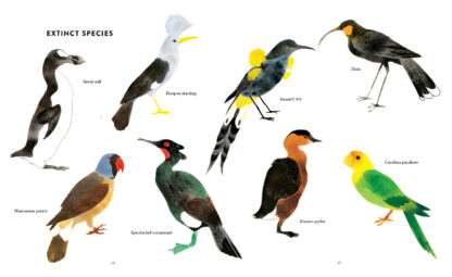 The Call of the Birds - Image 3