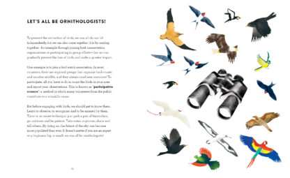 The Call of the Birds - Image 5