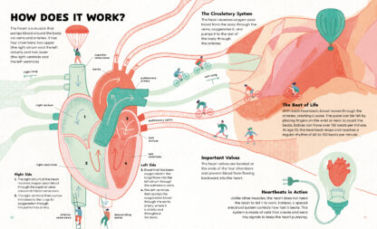 The Heart - Image 4