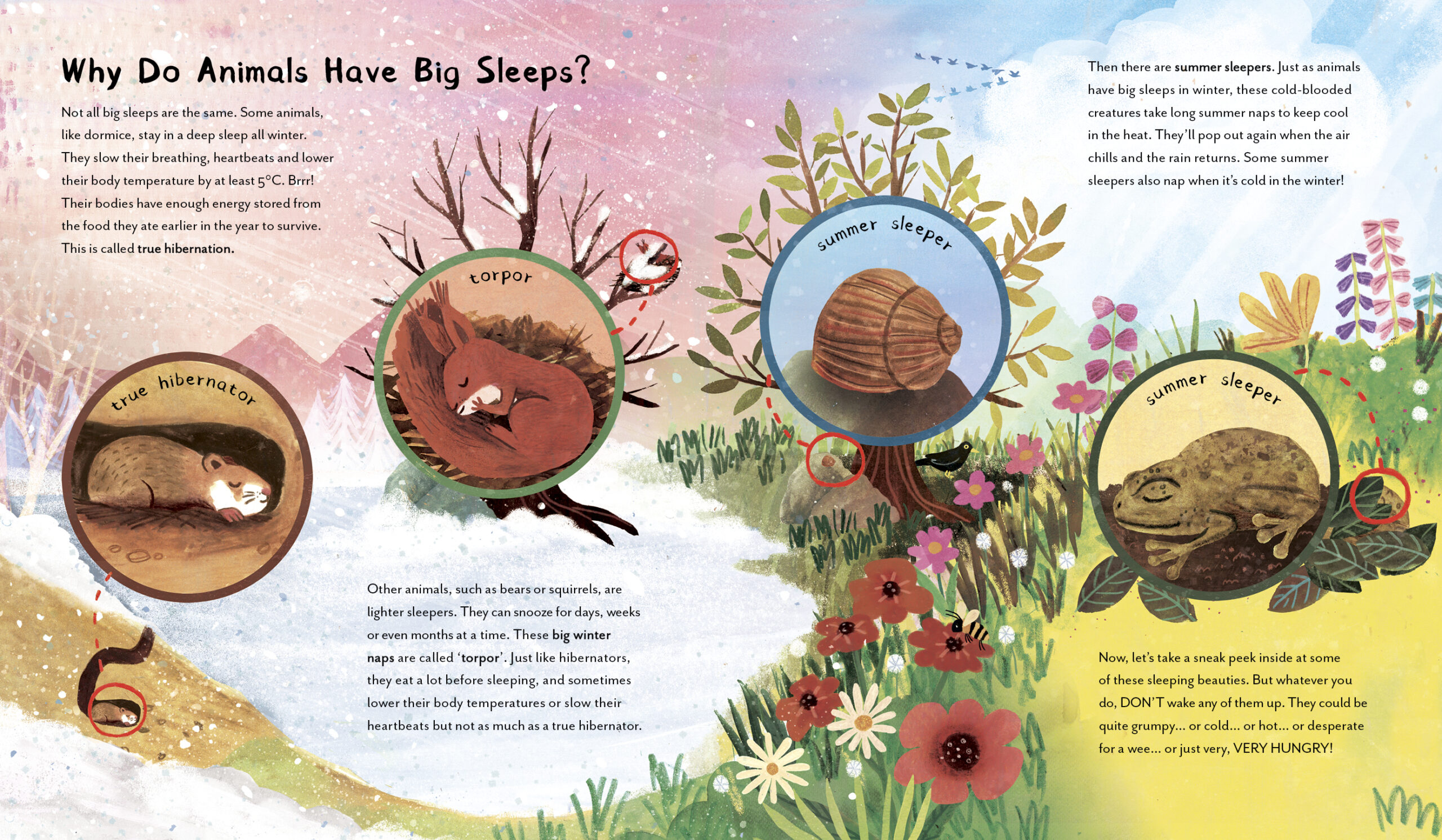 Great Big Animal Sleeps - Image 3