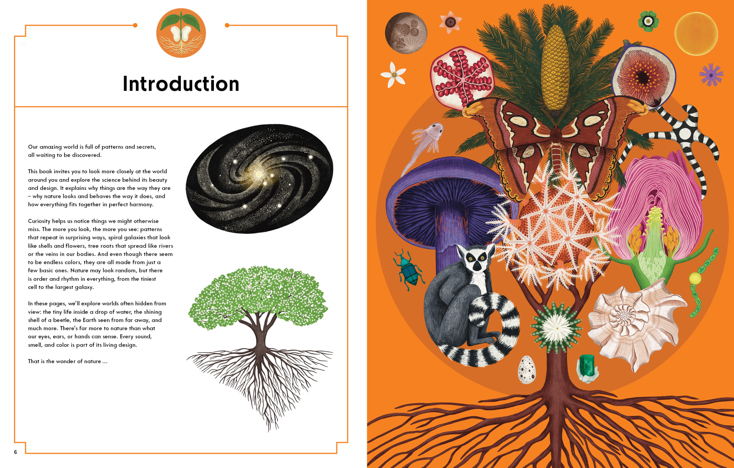 The Wonder of Nature - Image 2